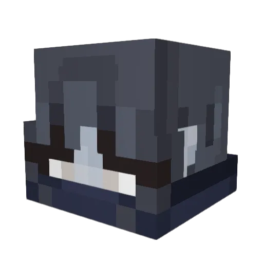 Elija008 Minecraft avatar head, 3D render
