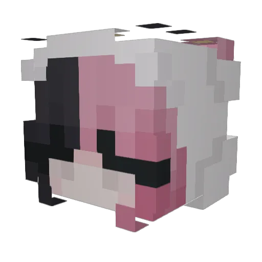 Elijah2430 Minecraft avatar head, 3D render
