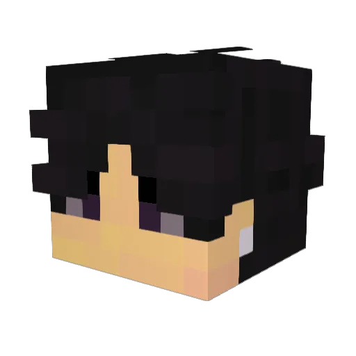 ElijahBoom4356 Minecraft avatar head, 3D render