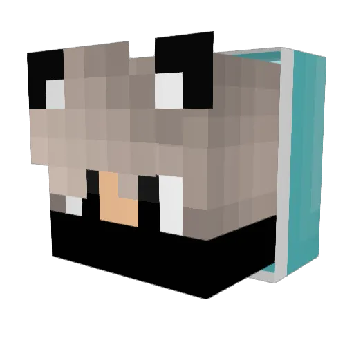 Elijah_Zoldyck Minecraft avatar head, 3D render