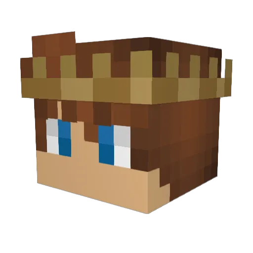 Elijas_09 Minecraft avatar head, 3D render