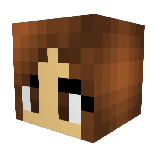 Elikaufli Minecraft avatar head, 3D render