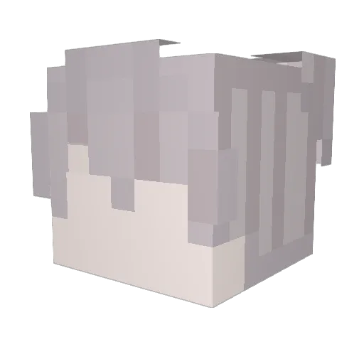 Elim0000 Minecraft avatar head, 3D render