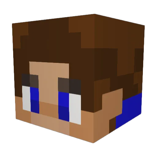 Elim13 Minecraft avatar head, 3D render