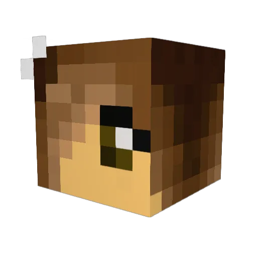Elin34 Minecraft avatar head, 3D render
