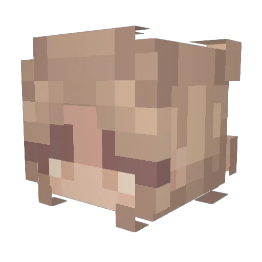Elina4589 Minecraft avatar head, 3D render