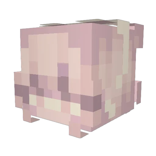 ElinaMine Minecraft avatar head, 3D render