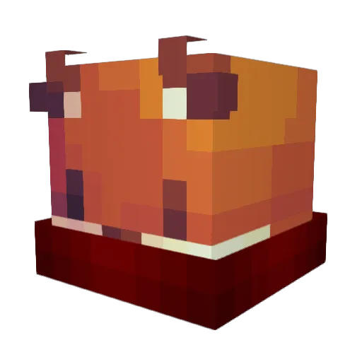 Elindorn228 Minecraft avatar head, 3D render