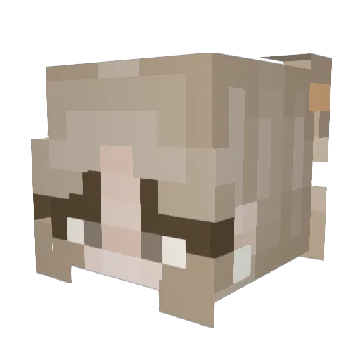 Eline014 Minecraft avatar head, 3D render