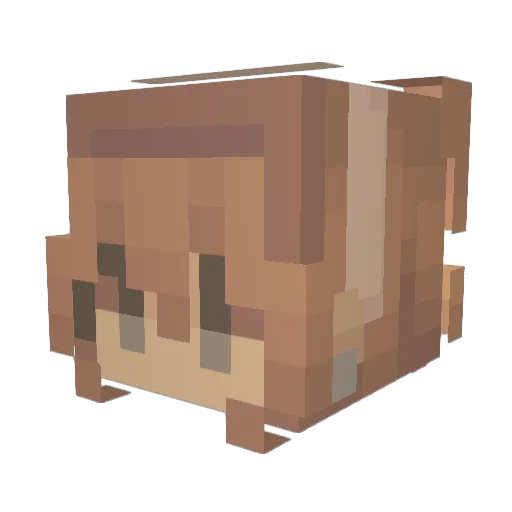 Eline_Lok Minecraft avatar head, 3D render
