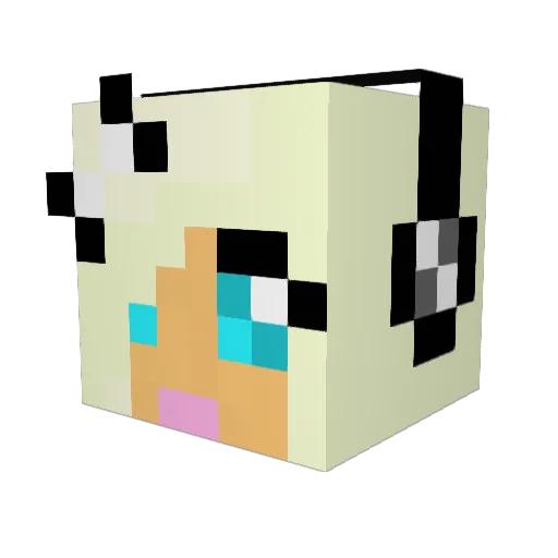 Elinoroslo Minecraft avatar head, 3D render
