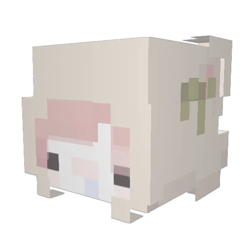 Elinu_ Minecraft avatar head, 3D render