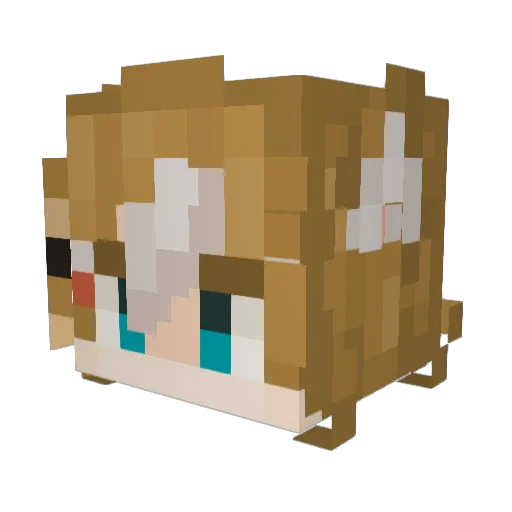 Elio0603 Minecraft avatar head, 3D render