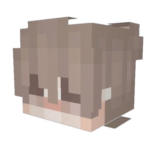 Eliocopteree Minecraft avatar head, 3D render