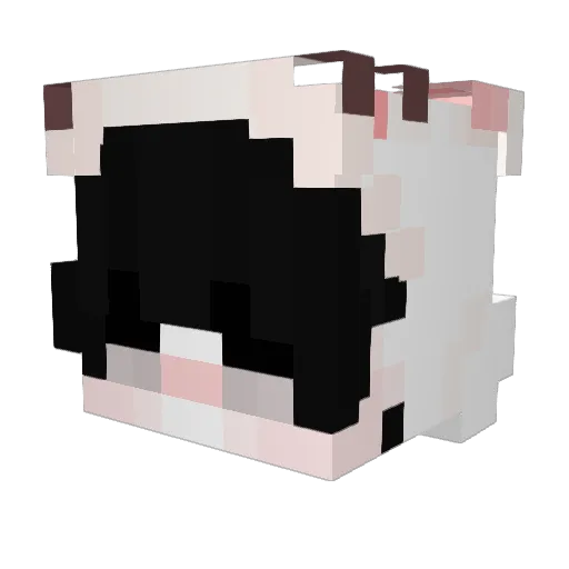 Eliot_240 Minecraft avatar head, 3D render
