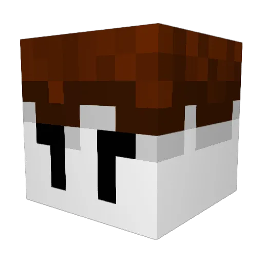 Eliraph Minecraft avatar head, 3D render