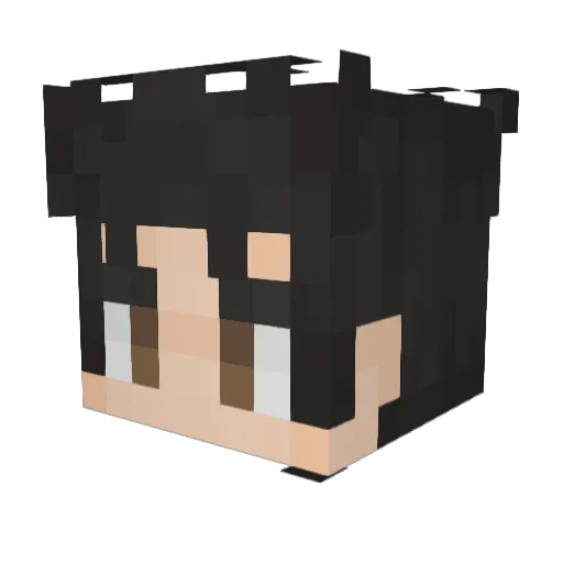 Elirizard Minecraft avatar head, 3D render