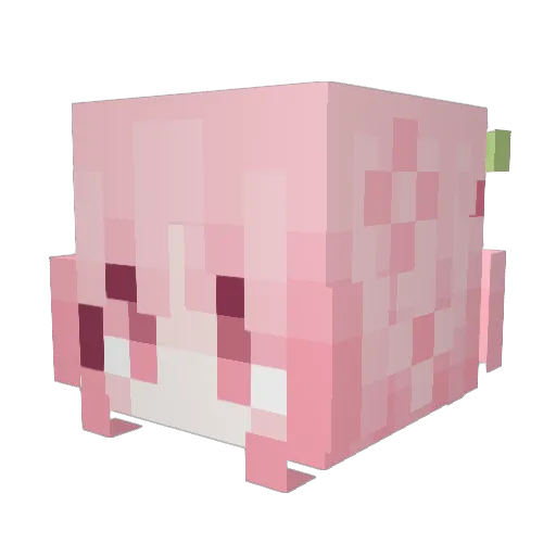 Elisaa16 Minecraft avatar head, 3D render
