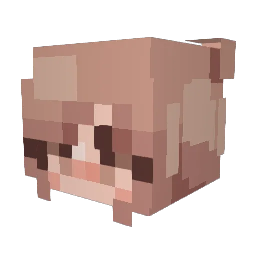 EliseTemtDodos Minecraft avatar head, 3D render