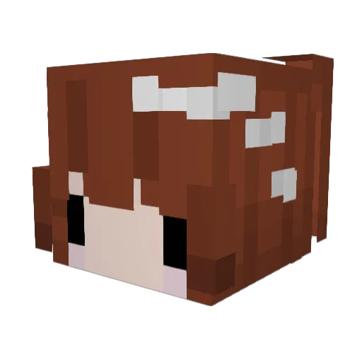 Elise_Walters Minecraft avatar head, 3D render