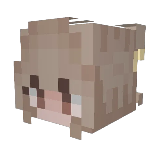 Eliseeli Minecraft avatar head, 3D render