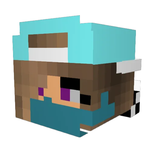 Elisex2 Minecraft avatar head, 3D render