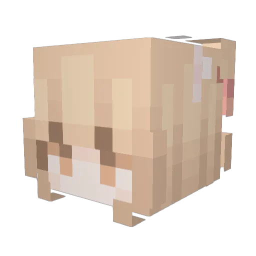 Elisinha12 Minecraft avatar head, 3D render