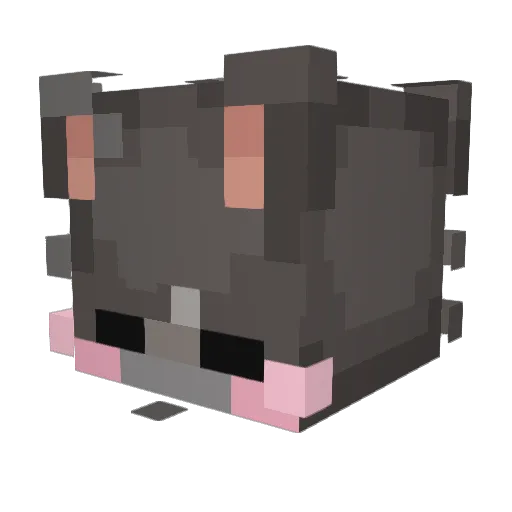 Eliska_674 Minecraft avatar head, 3D render