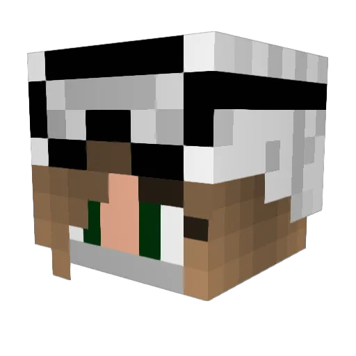 Elisse357 Minecraft avatar head, 3D render