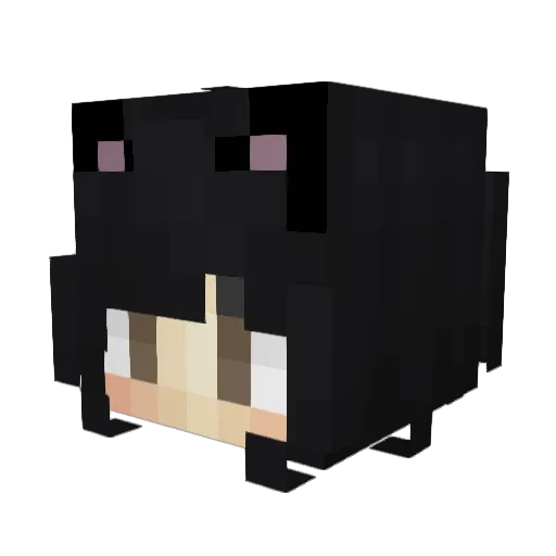 Elissem Minecraft avatar head, 3D render