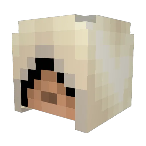 ElitLee Minecraft avatar head, 3D render