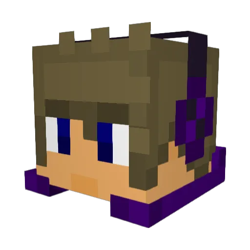 Elite0wn3r Minecraft avatar head, 3D render