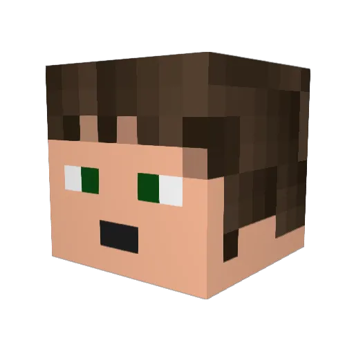 EliteCarnival52 Minecraft avatar head, 3D render