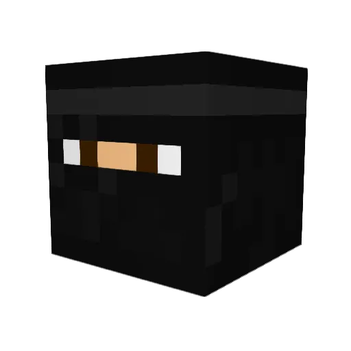 EliteChubbyNinja Minecraft avatar head, 3D render