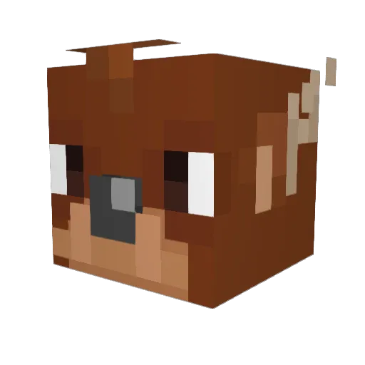 EliteCorbin02 Minecraft avatar head, 3D render