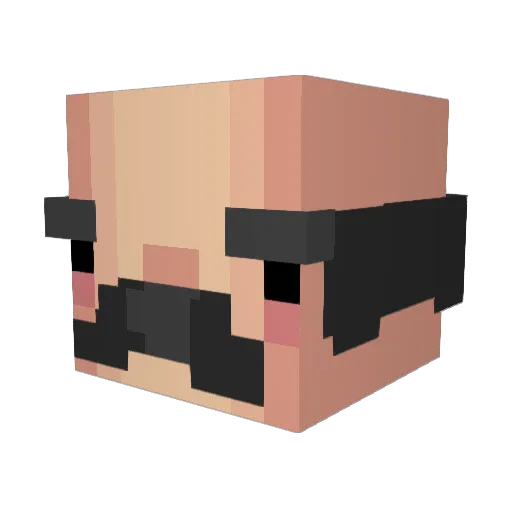 EliteCrafter_9 Minecraft avatar head, 3D render