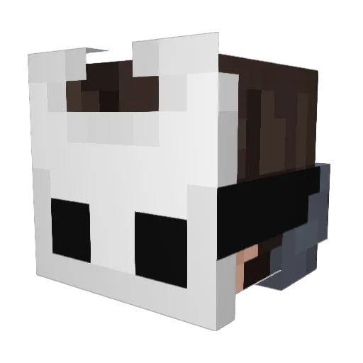 EliteEnder62 Minecraft avatar head, 3D render