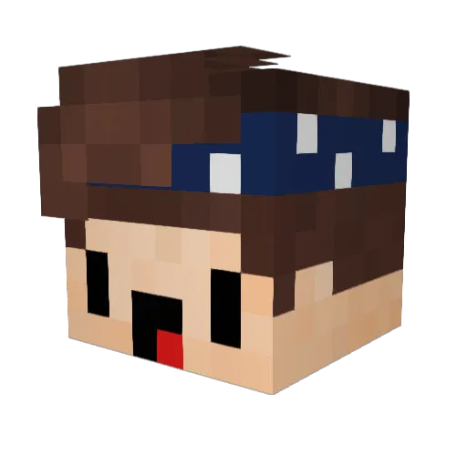 EliteF4ris_Fns Minecraft avatar head, 3D render