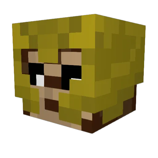 EliteHunter_11 Minecraft avatar head, 3D render