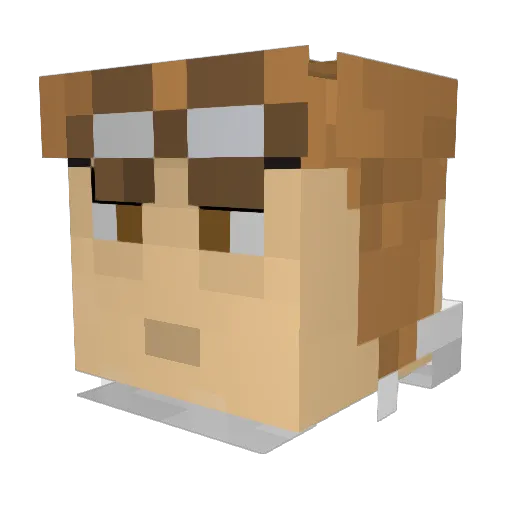 EliteKiller2727 Minecraft avatar head, 3D render