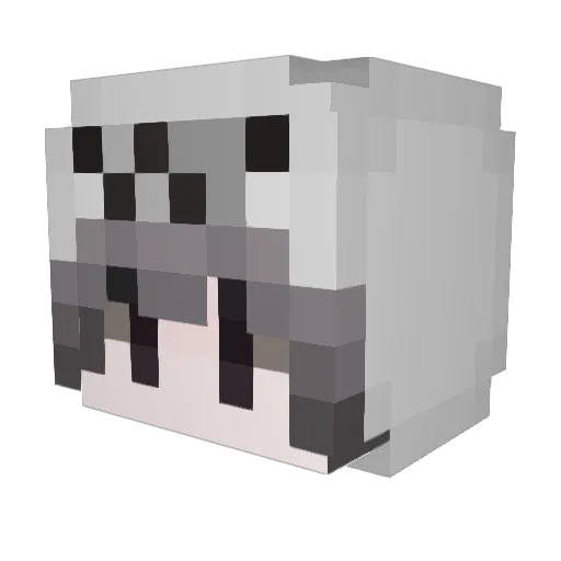 EliteLeopard56 Minecraft avatar head, 3D render