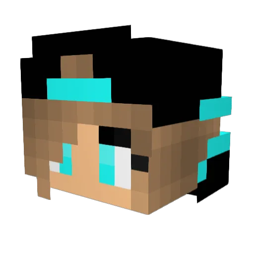 EliteMon95 Minecraft avatar head, 3D render