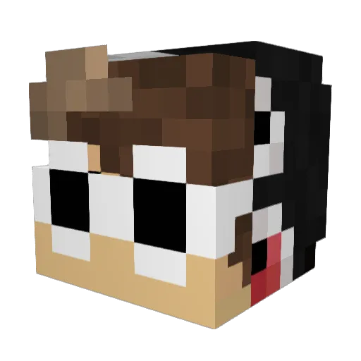 EliteShadowFox Minecraft avatar head, 3D render