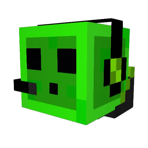 Elite_51 Minecraft avatar head, 3D render