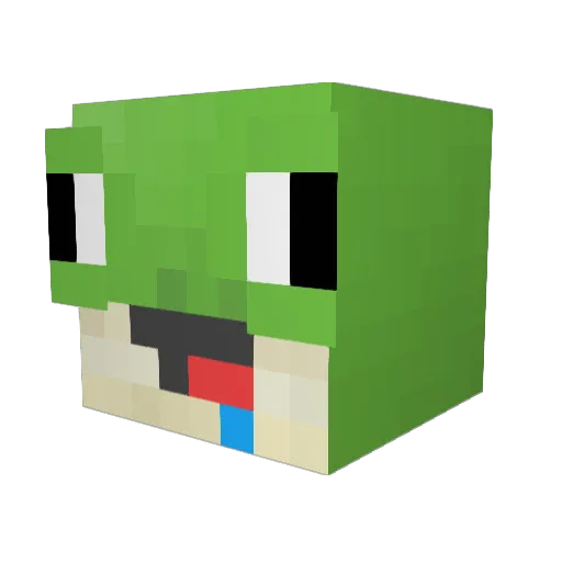 Elite_Meats Minecraft avatar head, 3D render