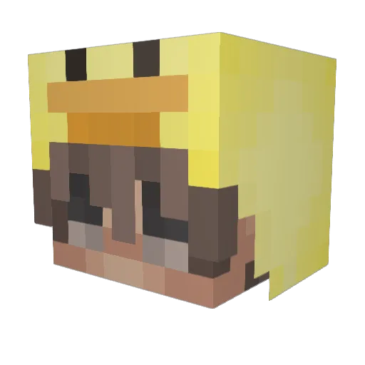 Elite_n00b Minecraft avatar head, 3D render