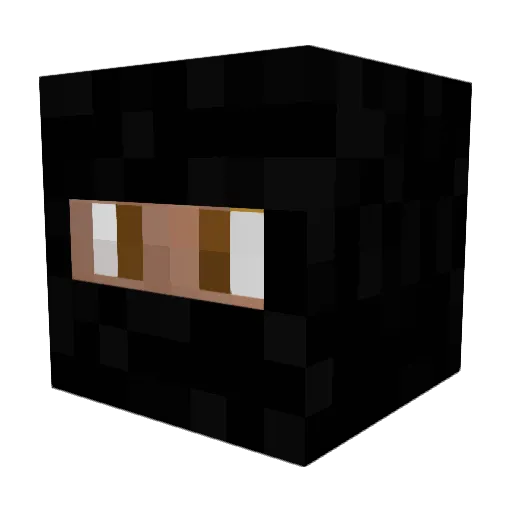Eliteassassin69 Minecraft avatar head, 3D render