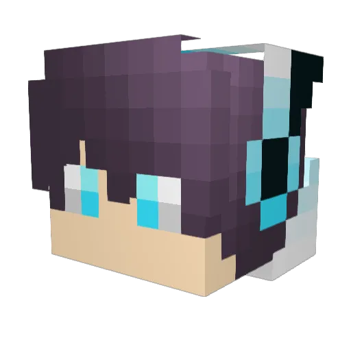 ElitzWizzard Minecraft avatar head, 3D render