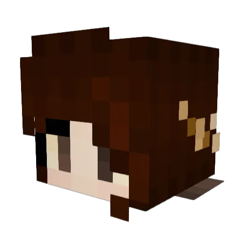 Elix_HUN Minecraft avatar head, 3D render