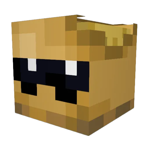 ElixerYT Minecraft avatar head, 3D render